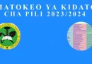 Matokeo Ya Kidato cha Pili / Form Two 2023 / 2024