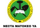 Form FOUR Results 2023/2024 | CSEE NECTA (Matokeo ya Kidato Cha Nne 2023)